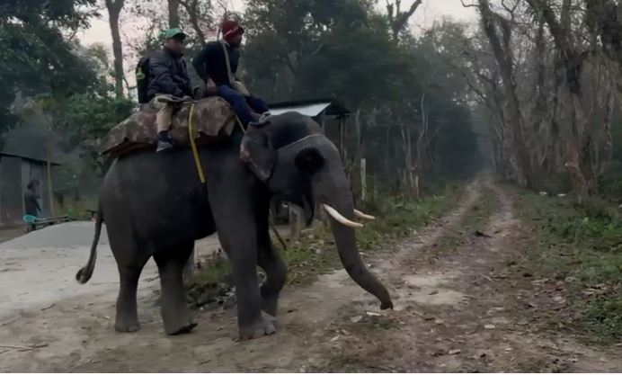 जलदापाड़ा राष्ट्रीय उद्यान में गैंडों की गणना शुरू