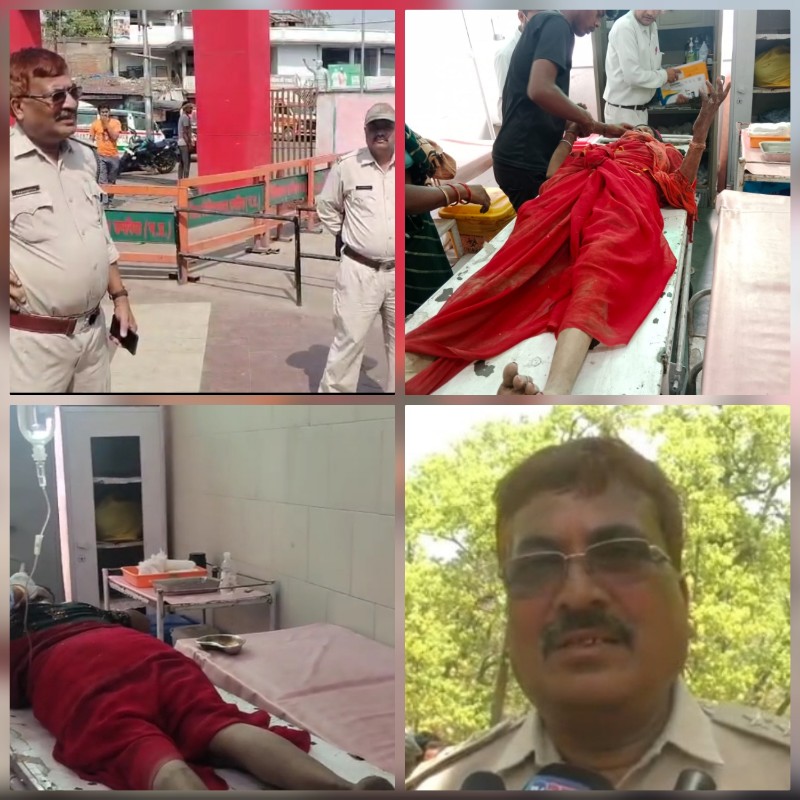 उमरिया : बाघिन के हमले से महुआ बीनने गई महिला घायल