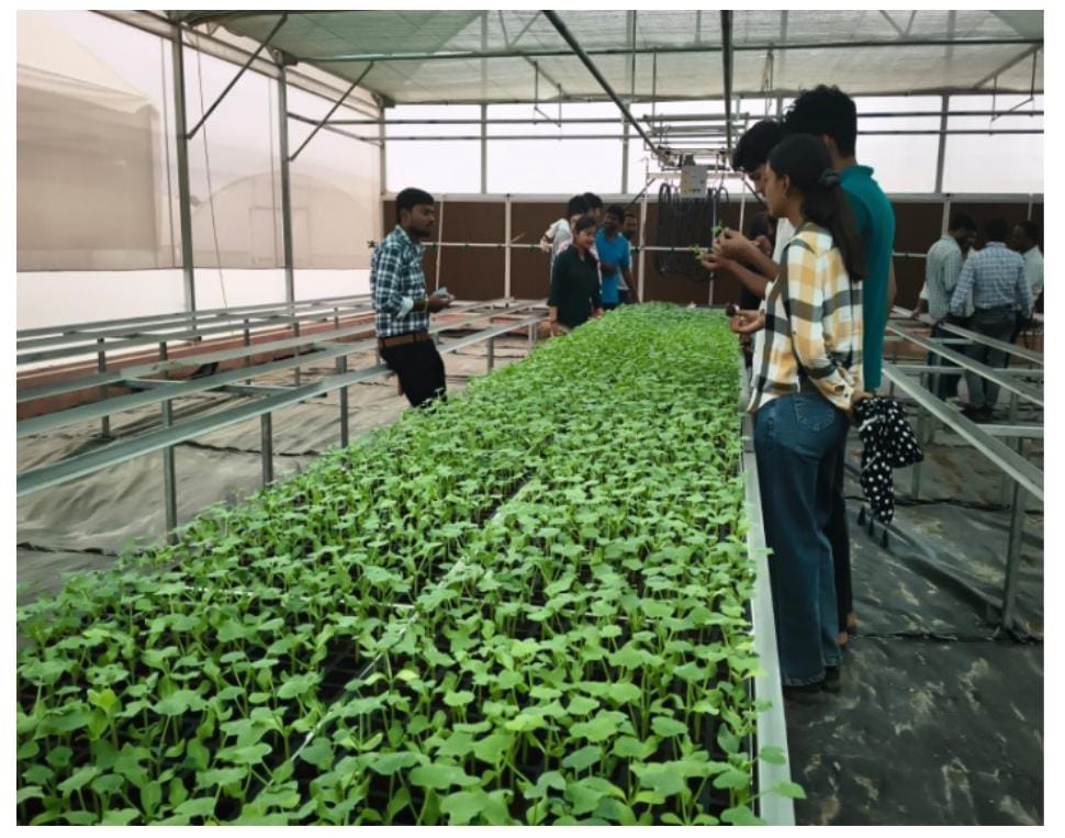 हाईटेक नर्सरी से गुणवत्तायुक्त इजराइल तकनीकी से तैयार पौध लेकर किसान बढ़ा सकते है उत्पादन