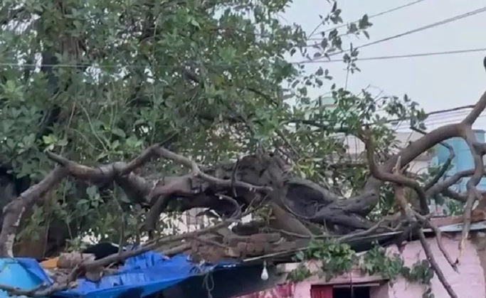 दिल्ली में आंधी-पानी के बीच हादसा,कमरे पर पेड़ गिरा,मां और तीन बच्चों की मौत