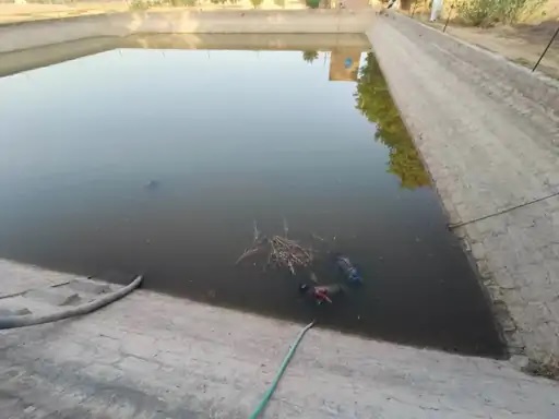 डिग्गी में मिली मां और दो मासूम बच्चों की लाशें