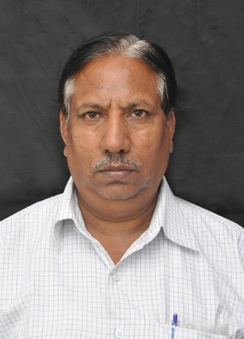 ग्रीन एनर्जी का अमरावती मॉडल देगा दुनिया को नई दिशा