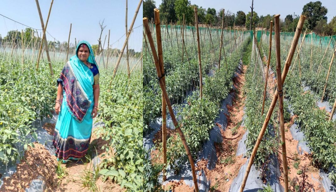 घर की चार दीवारी तक सीमित रहने वाली हेमलता जैविक खेती से हर महीने कमा रही 40 से 50 हजार रुपये