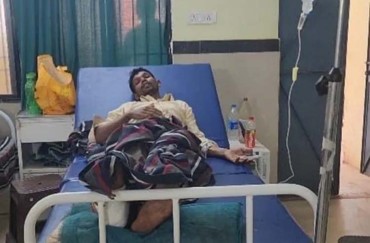 तेंदूपत्ता तोड़ने गए युवक पर मादा भालू ने हमला, गंभीर रुप से घायल