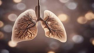 बलरामपुर : ओरंगा गांव में टीबी का खतरा, 37 संदिग्धों की जांच