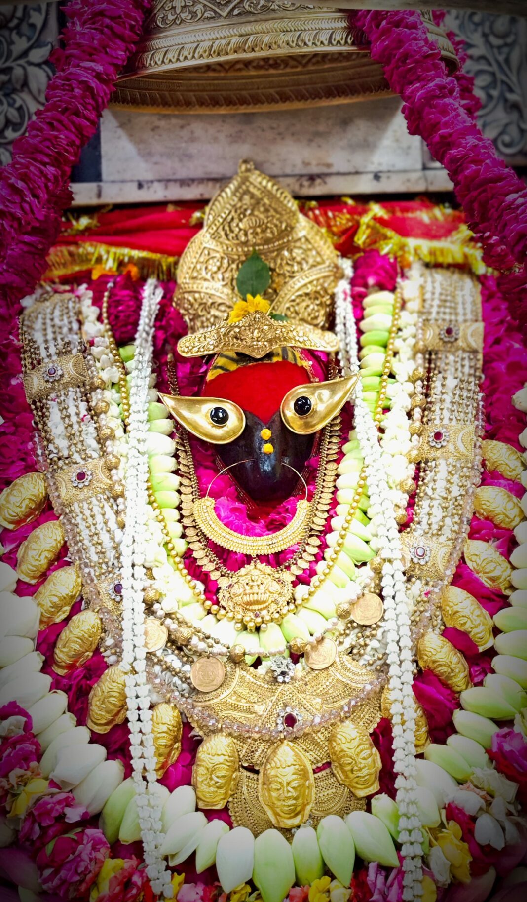 विंध्यधाम में उमड़ा आस्था का ज्वार, शुभ मुहूर्त में भक्तों ने किए दर्शन-पूजन