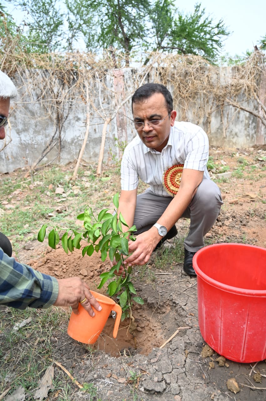 जांजगीर जिले के स्कूलों में उल्लासपूर्ण माहौल में मनाया गया शाला प्रवेश उत्सव