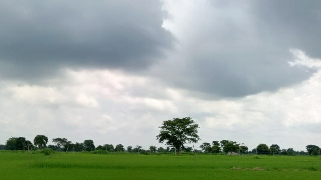 21257566bd57d1783ccb902a30bc1d57_181777935