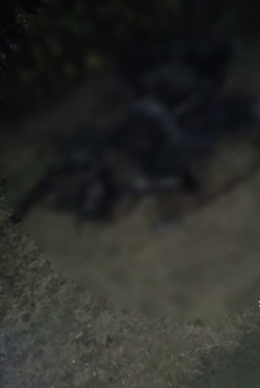 राजगढ़: जंगल में जली अवस्था में मिला व्यक्ति का शव, पुलिस ने जांच शुरू की