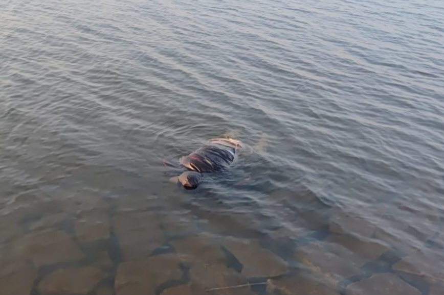 धुर्वा डैम हादसा: चौथे पुलिसकर्मी का शव भी मिला, सर्च ऑपरेशन हुआ पूरा