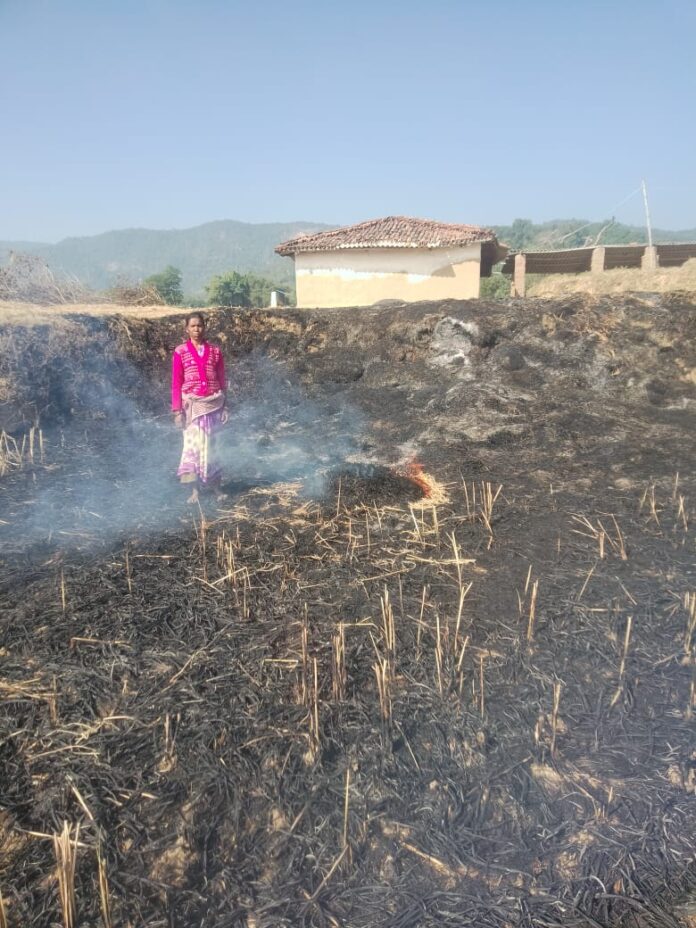 70ee71b04b900751eb21ef08bebbf8f2_1800770721