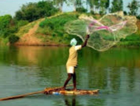 निषाद राज बोट सब्सिडी योजना: प्रयागराज के 100 से अधिक मछुआरों को मिलेगा लाभ