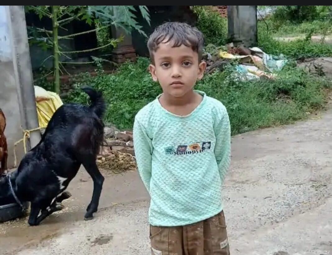 औरैया में कुत्ते के काटने से मासूम की मौत, इलाज के बावजूद नहीं बच सकी जिंदगी