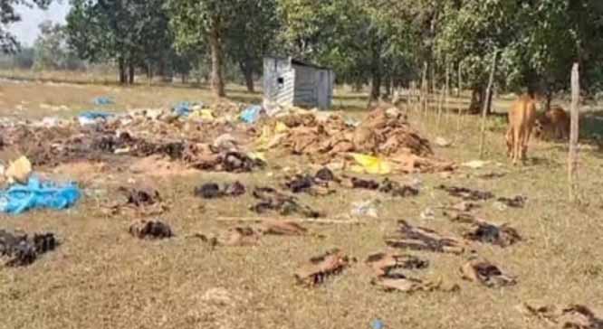 कांकेर में सहकारी प्रबंधकों-ऑपरेटरों की हड़ताल से धान खरीदी ठप्प, कई केंद्रों पर नहीं हुई शुरुआत