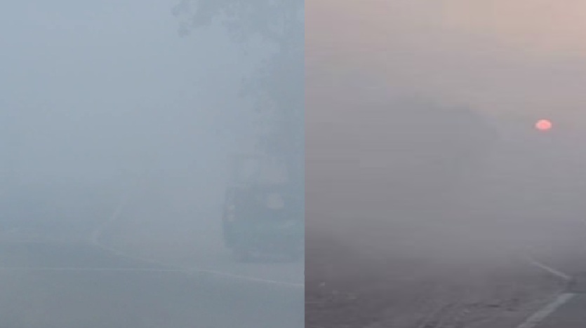 मध्य प्रदेश में कड़ाके की ठंड! भोपाल, इंदौर और शहडोल में कोल्ड वेव का कहर