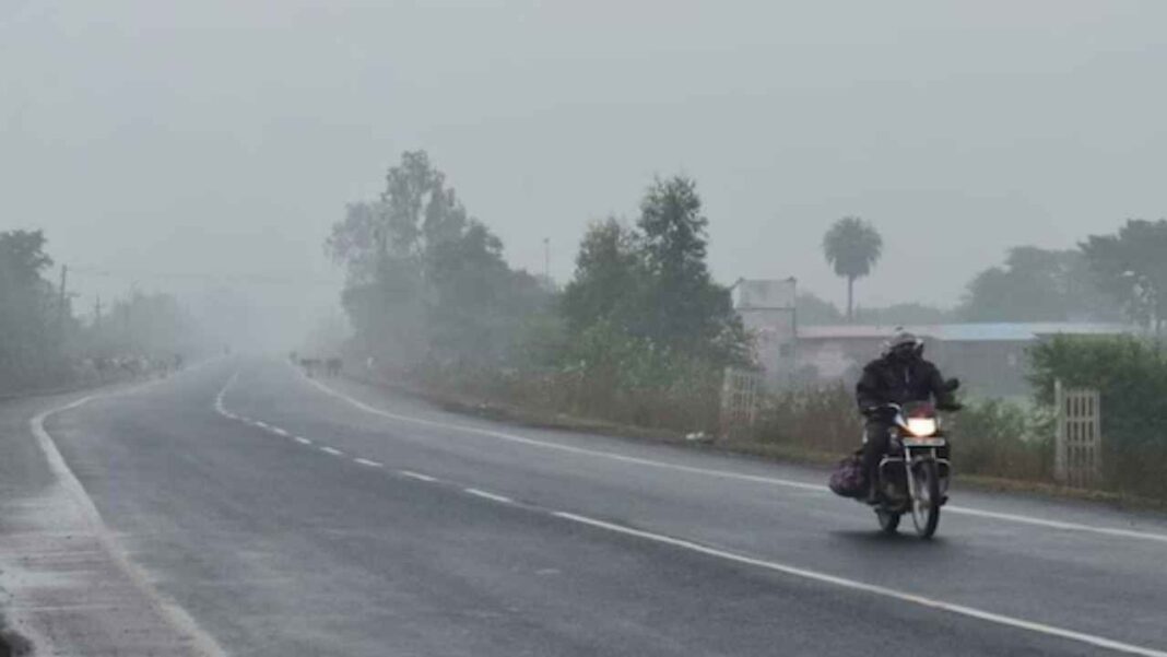 उत्तरी छत्तीसगढ़ में शीतलहर का कहर, अंबिकापुर का तापमान गिरकर 4.5°C पहुंचा