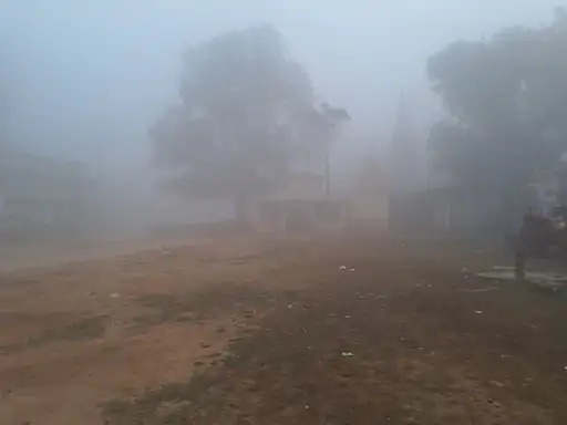 बलरामपुर-रामानुजगंज: कुसमी में न्यूनतम तापमान 4 डिग्री, शीतलहर से जनजीवन प्रभावित