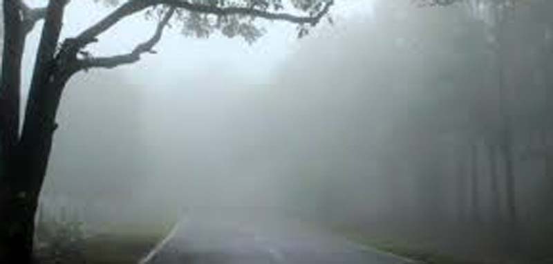 छत्तीसगढ़ में 25 दिसंबर तक शीतलहर और घने कोहरे की चेतावनी, अंबिकापुर रहा सबसे ठंडा