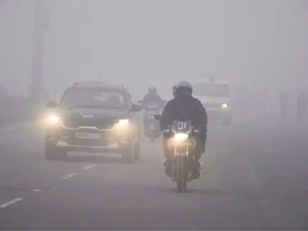 मध्य प्रदेश में शीतलहर और घने कोहरे का डबल अटैक, आज 13 जिलों में अलर्ट, पारा 5 डिग्री से नीचे