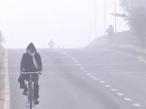 Rajasthan Cold Wave Alert! 20 जिलों में स्कूल बंद, घने कोहरे से जनजीवन अस्त-व्यस्त