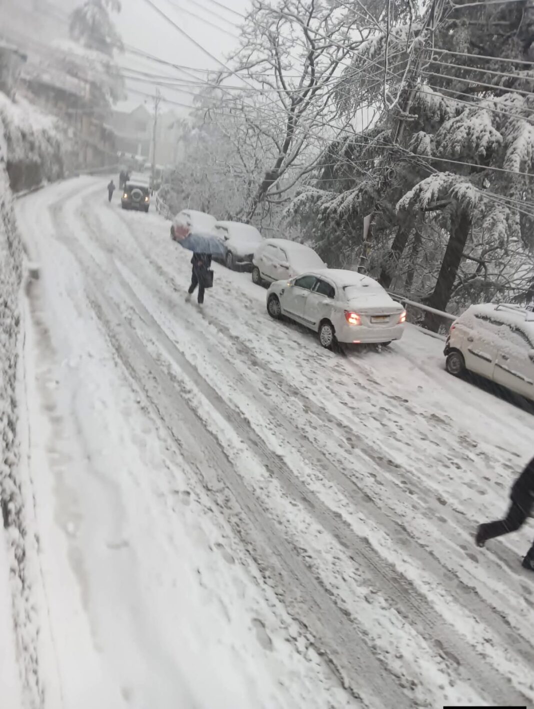 Himachal Snowfall 2026: सीज़न की पहली भारी बर्फ़बारी, शिमला–मनाली में सैलानियों का उत्साह