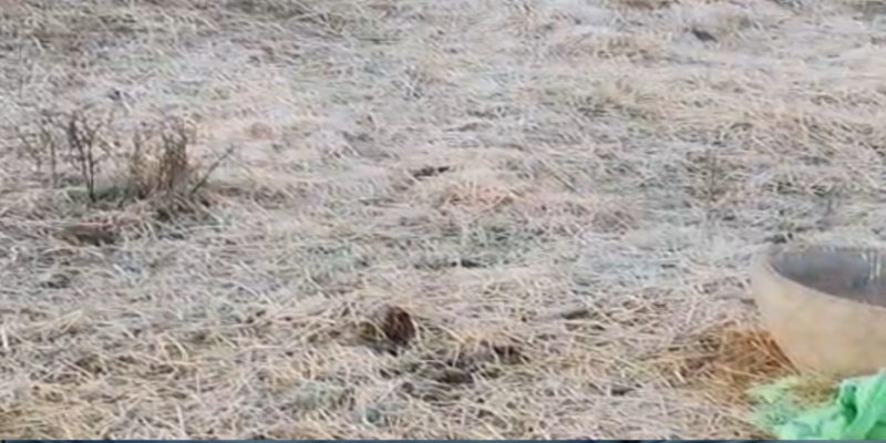 Balrampur Cold Wave Alert! 4 डिग्री पर पहुंचा पारा, खेतों और गाड़ियों पर जमी बर्फ