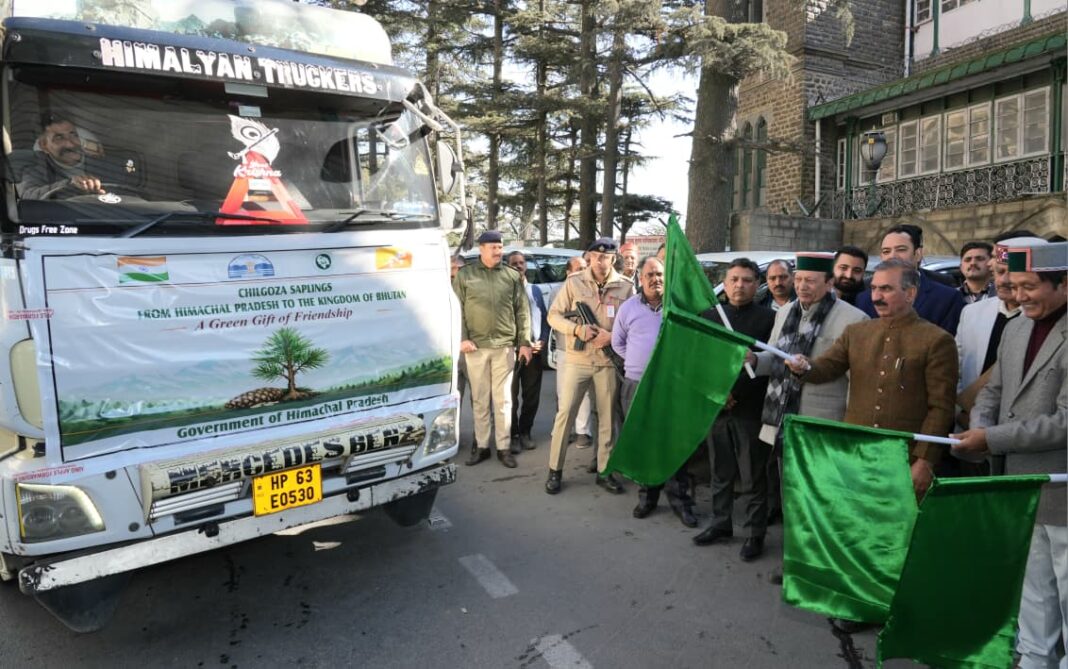 Himachal Bhutan Green Gift: चिलगोजा पौधों से मजबूत हुई दोस्ती