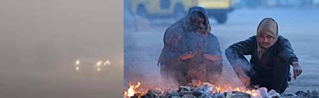 बलरामपुर में घने कोहरे और शीतलहर का कहर, रामानुजगंज में जनजीवन प्रभावित