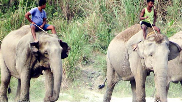होली से पहले डुआर्स के संरक्षित वन क्षेत्रों में बढ़ाई गई सुरक्षा