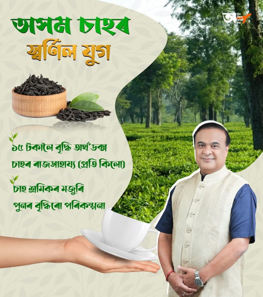 असम में ऑर्थोडॉक्स चाय पर सब्सिडी बढ़ी, अब 15 रुपये प्रति किलो मिलेगा अनुदान