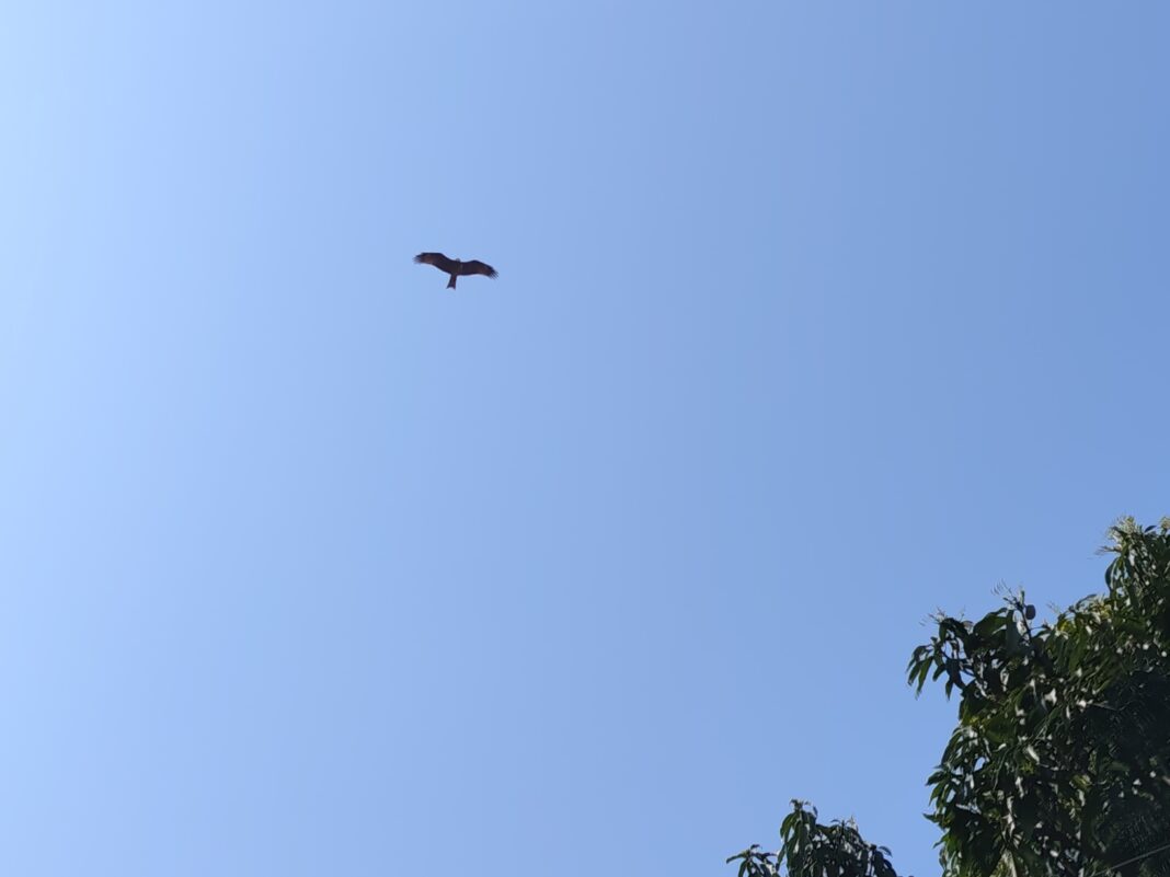 Uttarakhand Weather Alert: पर्वतीय इलाकों में बारिश-बर्फबारी के आसार, यात्रा से पहले सावधान रहें