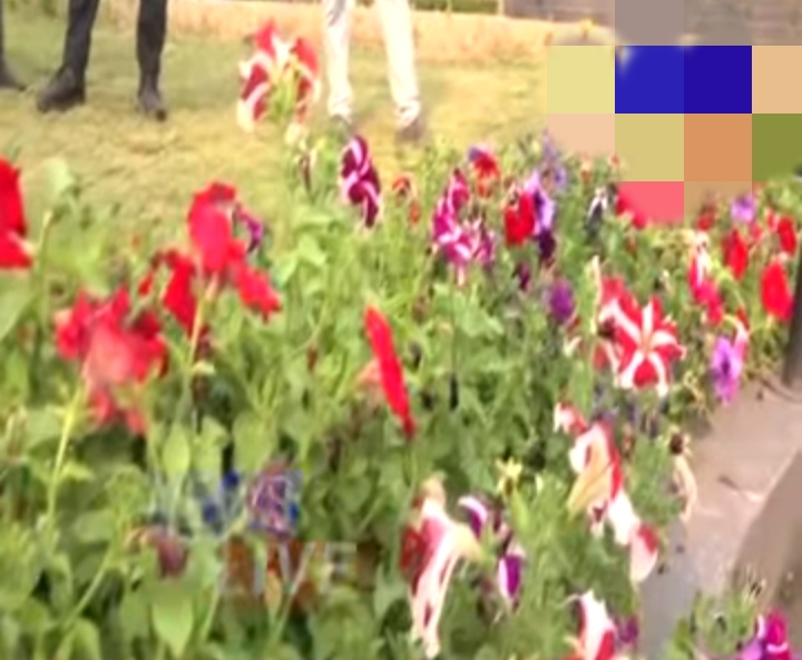 Kaziranga Orchid Garden: 3 मार्च को CM सरमा करेंगे भव्य उद्घाटन