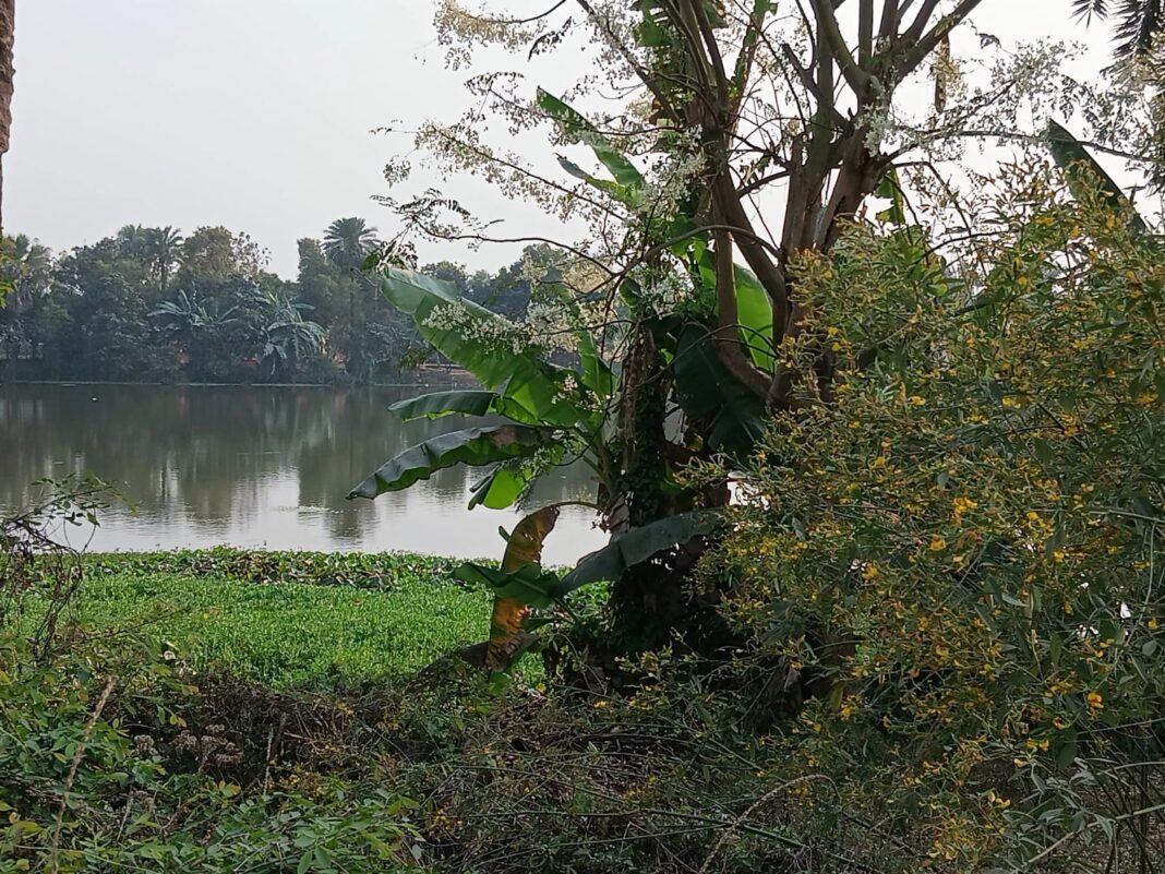 Sahni Pokhar Encroachment Darbhanga: क्या खत्म हो जाएगा मदरिया का ऐतिहासिक तालाब? प्रशासन कब जागेगा?