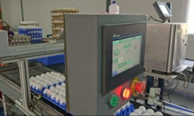 1 अप्रैल से अंडों पर मार्किंग अनिवार्य, गुणवत्ता सुनिश्चित करने के लिए लागू होगा नया नियम