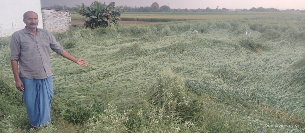 मीरजापुर में आसमानी कहर! बिजली गिरने से किसान झुलसा, मौसम ने बढ़ाई चिंता