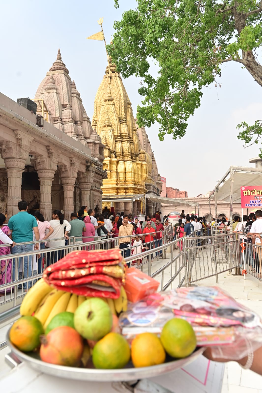 वाराणसी में एमपी-यूपी सहयोग सम्मेलन 2026: निवेश, पर्यटन और शिल्प को मिलेगी नई दिशा