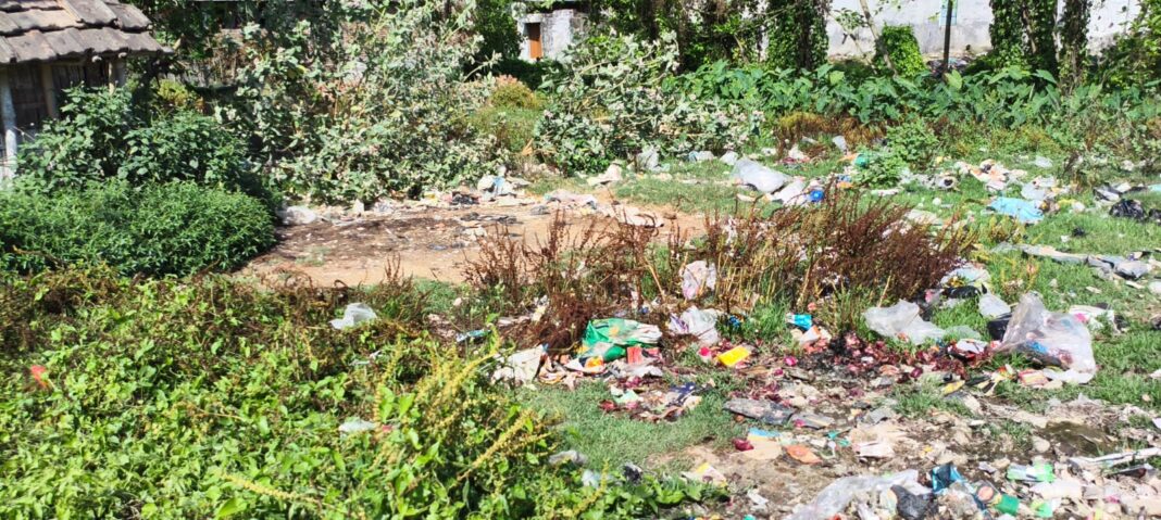 कचरे में तब्दील हुआ पोखर! बदबू और बीमारियों के बीच जीने को मजबूर लोग कचरे में तब्दील हुआ पोखर! बदबू और बीमारियों के बीच जीने को मजबूर लोग