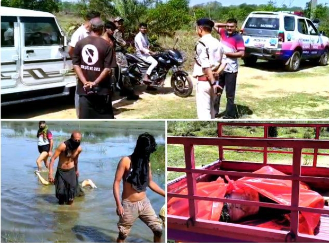 डैम में मिला सड़ा-गला शव: सरायकेला में सनसनी, पहचान में जुटी पुलिस डैम में मिला सड़ा-गला शव: सरायकेला में सनसनी, पहचान में जुटी पुलिस