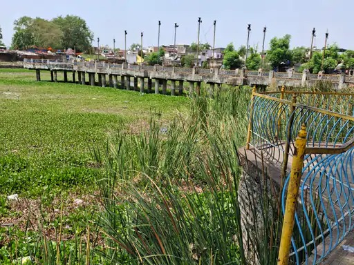 बिलासपुर में 20 करोड़ की तालाब योजना: सौंदर्यीकरण के साथ उठे रखरखाव पर सवाल बिलासपुर में 20 करोड़ की तालाब योजना: सौंदर्यीकरण के साथ उठे रखरखाव पर सवाल