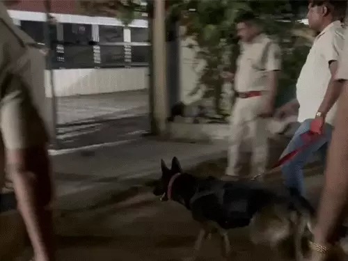 मस्तूरी गोलीकांड में बड़ी कार्रवाई: इनामी आरोपी के घर आधी रात छापा, फिर भी हाथ खाली मस्तूरी गोलीकांड में बड़ी कार्रवाई: इनामी आरोपी के घर आधी रात छापा, फिर भी हाथ खाली