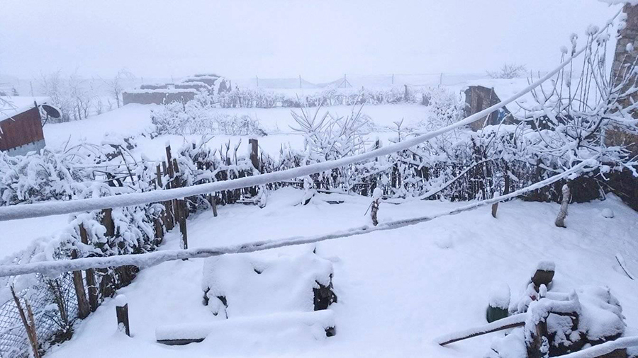 नेपाल में बर्फबारी और बारिश का असर: जनजीवन प्रभावित, किसानों की बढ़ी चिंता नेपाल में बर्फबारी और बारिश का असर: जनजीवन प्रभावित, किसानों की बढ़ी चिंता