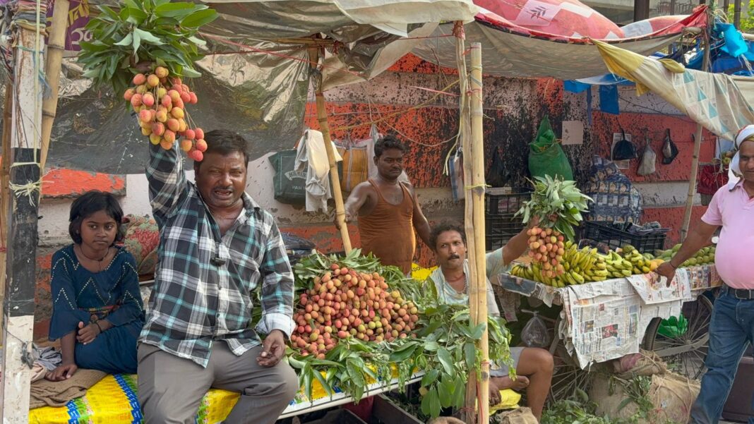 मुजफ्फरपुर की शाही लीची ने बाजार में मचाई धूम! 400 सैकड़ा तक पहुंची कीमत मुजफ्फरपुर की शाही लीची ने बाजार में मचाई धूम! 400 सैकड़ा तक पहुंची कीमत