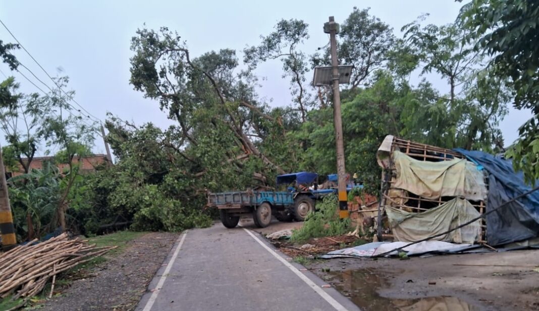 अररिया में फिर आंधी-तूफान का कहर, फसलें बर्बाद, बिजली सेवा ठप अररिया में फिर आंधी-तूफान का कहर, फसलें बर्बाद, बिजली सेवा ठप