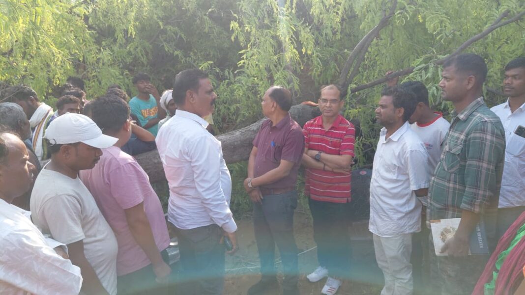 तूफान बना काल! घर पर गिरा विशाल पेड़, महिला की दर्दनाक मौत तूफान बना काल! घर पर गिरा विशाल पेड़, महिला की दर्दनाक मौत