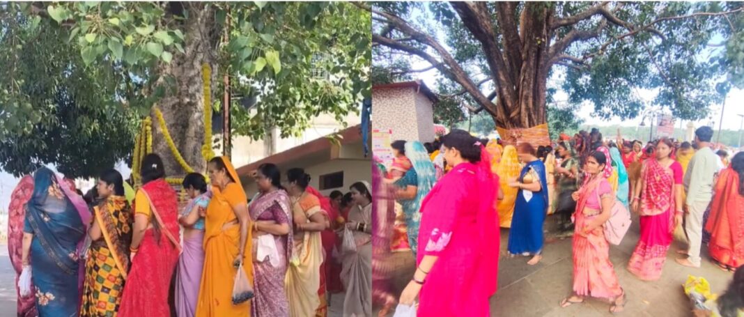 पीपल के पेड़ की परिक्रमा करती सुहागिनें: 108 फेरों का धार्मिक अनुष्ठान पीपल के पेड़ की परिक्रमा करती सुहागिनें: 108 फेरों का धार्मिक अनुष्ठान