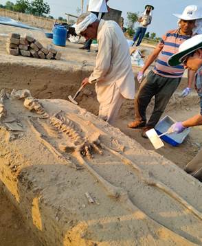 प्राचीन सभ्यता के अवशेष: राखीगढ़ी के कंकाल से मिले नए सुराग राखीगढ़ी कंकाल खोज