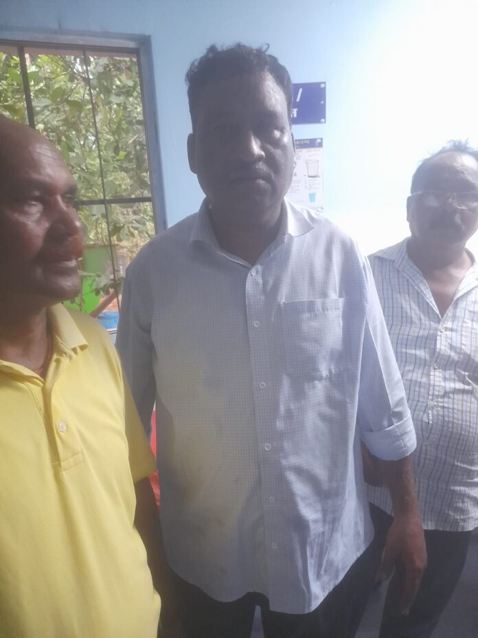 मधुमक्खी मधुमक्खी