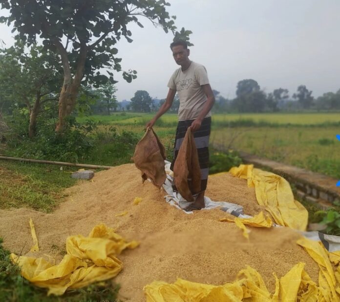 जंगली हाथी आतंक