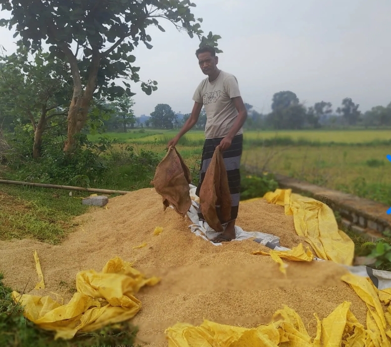 हाथी का कहर: जंगली हाथियों का आतंक बढ़ा, ग्रामीणों में दहशत जंगली हाथी आतंक