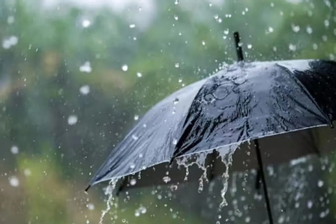 राजस्थान में मौसम का डबल अटैक! कहीं 44°C पार गर्मी, कहीं उमस और बारिश का अलर्ट राजस्थान में मौसम का डबल अटैक! कहीं 44°C पार गर्मी, कहीं उमस और बारिश का अलर्ट